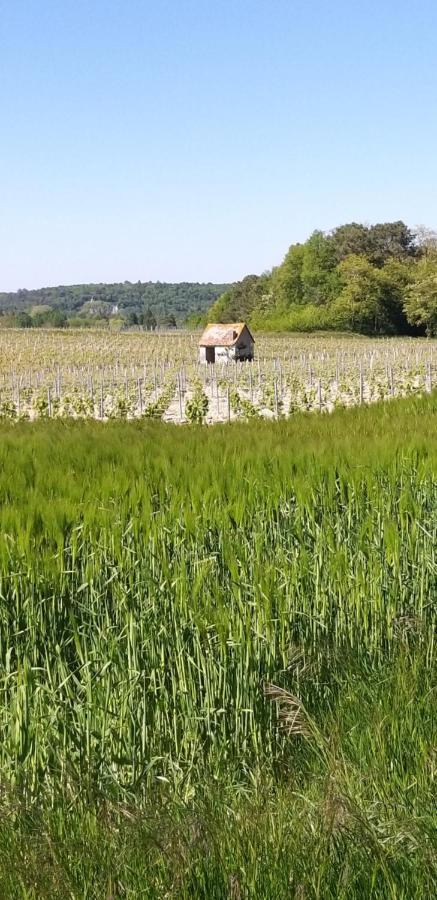 Le Clos De La Chesneraie Сан-Жорж-сюр-Шер Екстериор снимка